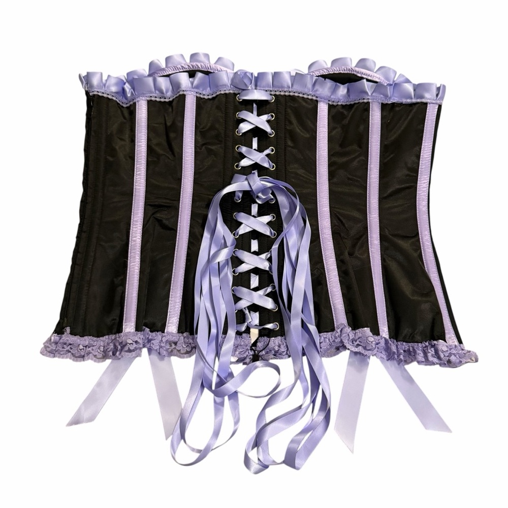 Daisy Corsets Striped Corset Top/Lingerie/Costume/Burlesque/Plus Size: 3XL - Picture 5 of 13